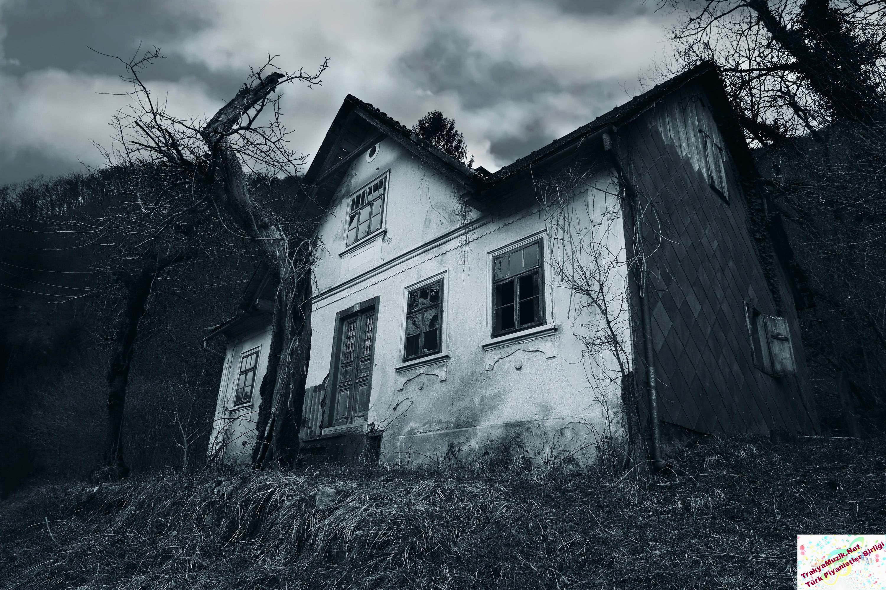 house-abandoned-white-gray-wallpaper.jpg